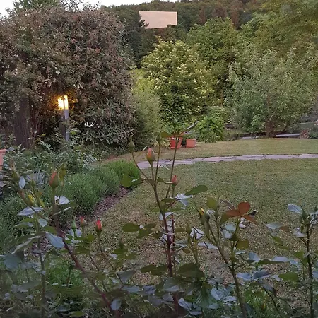 Haus Christof Appartement Ebermannstadt